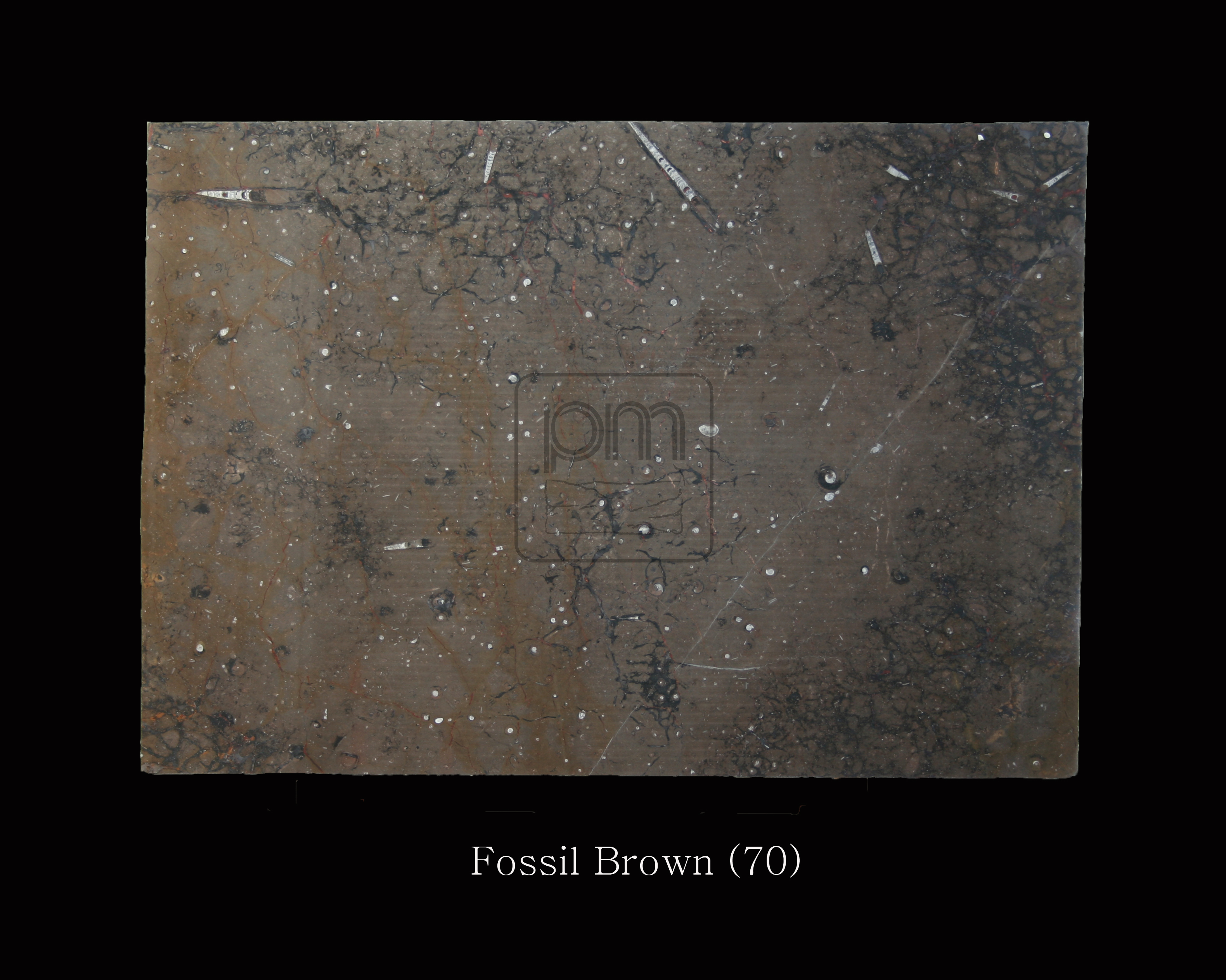 Fossil Brown